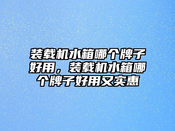 裝載機水箱哪個牌子好用，裝載機水箱哪個牌子好用又實惠