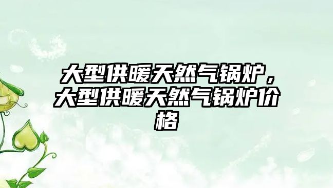 大型供暖天然氣鍋爐，大型供暖天然氣鍋爐價(jià)格