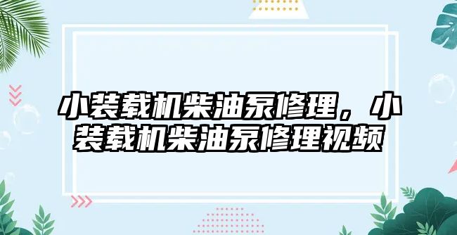 小裝載機(jī)柴油泵修理，小裝載機(jī)柴油泵修理視頻