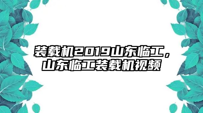 裝載機(jī)2019山東臨工，山東臨工裝載機(jī)視頻