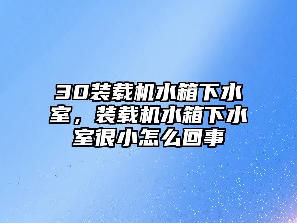 30裝載機水箱下水室，裝載機水箱下水室很小怎么回事