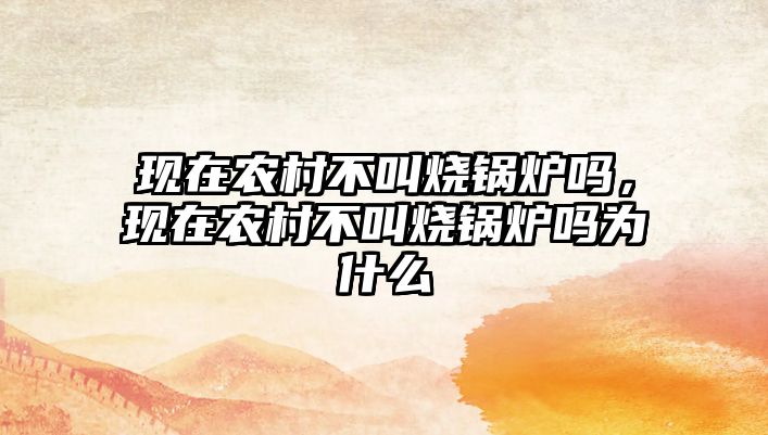 現(xiàn)在農(nóng)村不叫燒鍋爐嗎，現(xiàn)在農(nóng)村不叫燒鍋爐嗎為什么