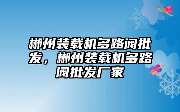 郴州裝載機(jī)多路閥批發(fā)，郴州裝載機(jī)多路閥批發(fā)廠家