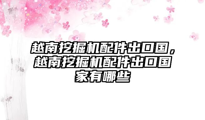 越南挖掘機配件出口國，越南挖掘機配件出口國家有哪些