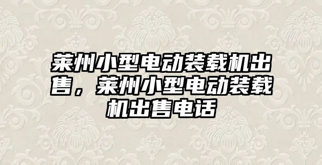 萊州小型電動裝載機出售，萊州小型電動裝載機出售電話