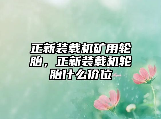 正新裝載機(jī)礦用輪胎，正新裝載機(jī)輪胎什么價(jià)位