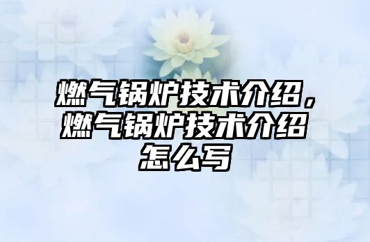 燃?xì)忮仩t技術(shù)介紹，燃?xì)忮仩t技術(shù)介紹怎么寫