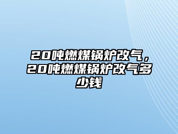 20噸燃煤鍋爐改氣，20噸燃煤鍋爐改氣多少錢