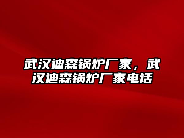 武漢迪森鍋爐廠家，武漢迪森鍋爐廠家電話