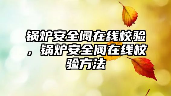 鍋爐安全閥在線校驗(yàn)，鍋爐安全閥在線校驗(yàn)方法