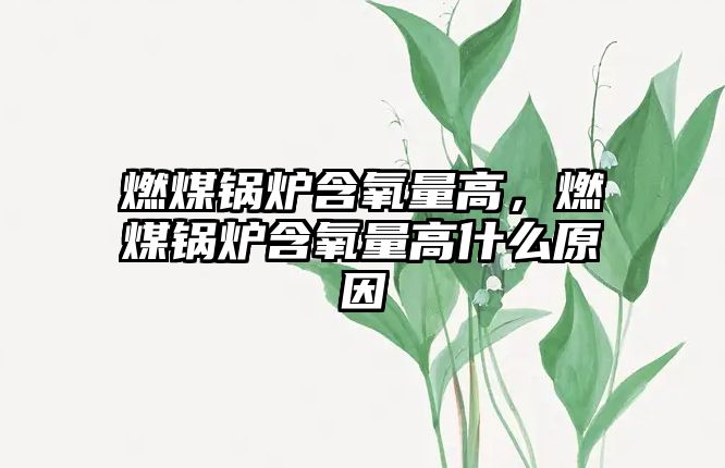 燃煤鍋爐含氧量高，燃煤鍋爐含氧量高什么原因