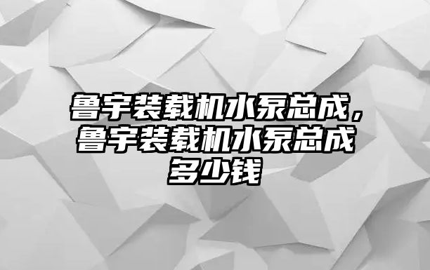 魯宇裝載機水泵總成，魯宇裝載機水泵總成多少錢