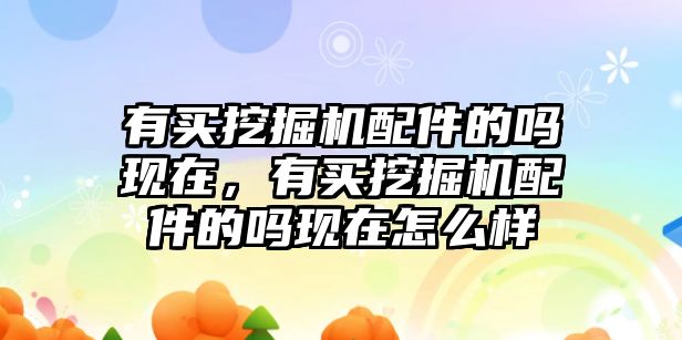 有買挖掘機配件的嗎現(xiàn)在，有買挖掘機配件的嗎現(xiàn)在怎么樣