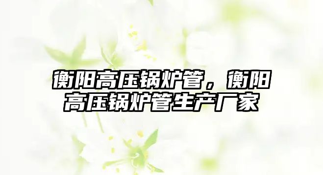 衡陽高壓鍋爐管，衡陽高壓鍋爐管生產(chǎn)廠家