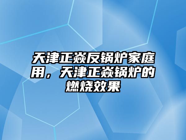 天津正焱反鍋爐家庭用，天津正焱鍋爐的燃燒效果