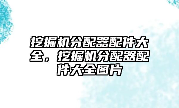 挖掘機(jī)分配器配件大全，挖掘機(jī)分配器配件大全圖片