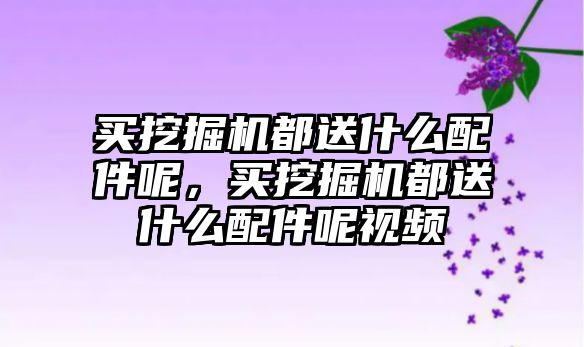 買挖掘機都送什么配件呢，買挖掘機都送什么配件呢視頻