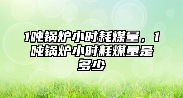 1噸鍋爐小時(shí)耗煤量，1噸鍋爐小時(shí)耗煤量是多少