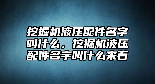 挖掘機液壓配件名字叫什么，挖掘機液壓配件名字叫什么來著