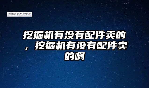 挖掘機有沒有配件賣的，挖掘機有沒有配件賣的啊