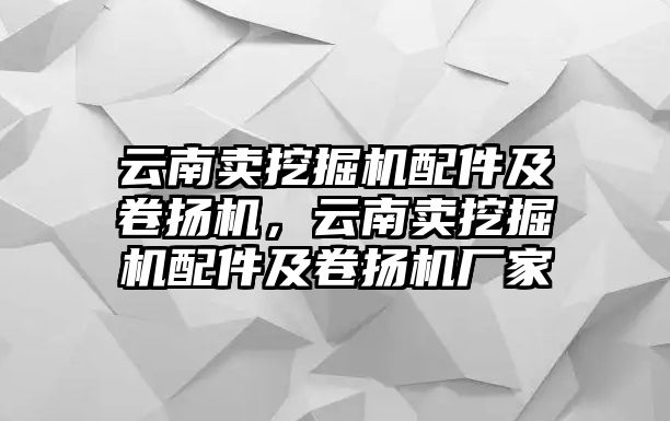 云南賣挖掘機配件及卷揚機，云南賣挖掘機配件及卷揚機廠家