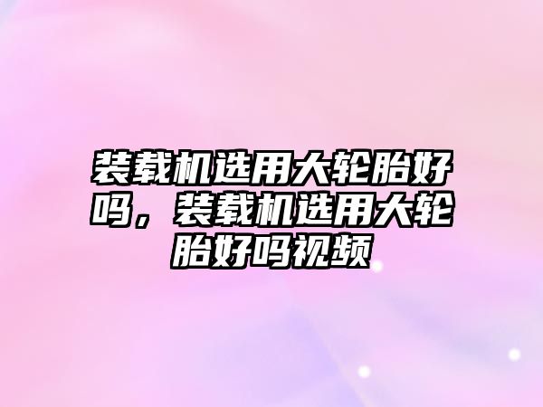 裝載機選用大輪胎好嗎，裝載機選用大輪胎好嗎視頻