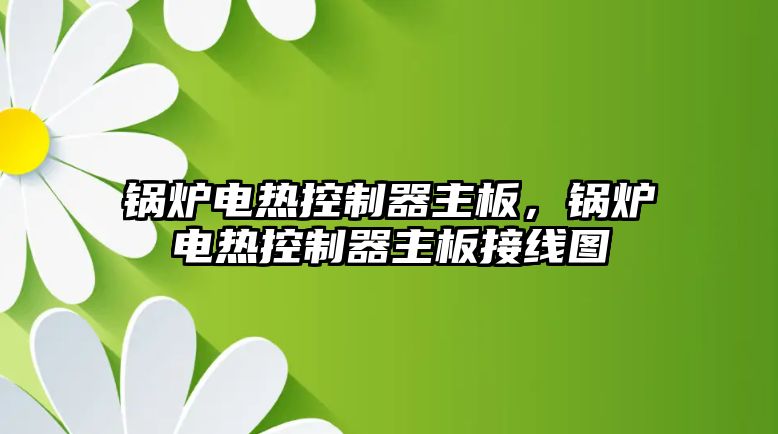 鍋爐電熱控制器主板，鍋爐電熱控制器主板接線圖