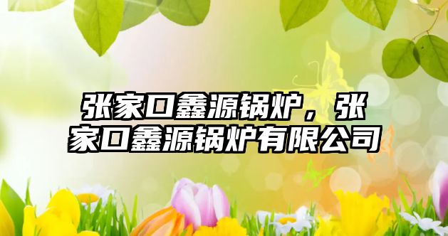 張家口鑫源鍋爐，張家口鑫源鍋爐有限公司