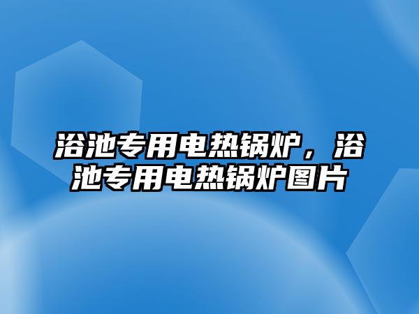 浴池專用電熱鍋爐，浴池專用電熱鍋爐圖片