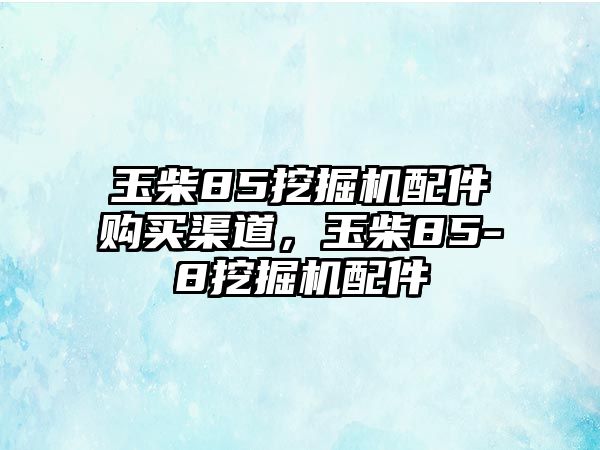 玉柴85挖掘機(jī)配件購(gòu)買渠道，玉柴85-8挖掘機(jī)配件