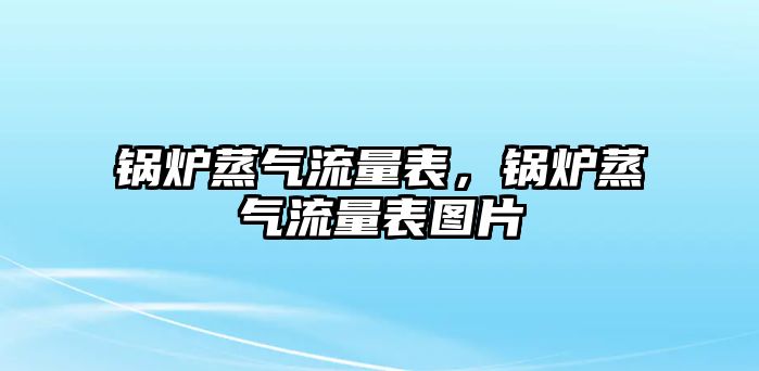 鍋爐蒸氣流量表，鍋爐蒸氣流量表圖片