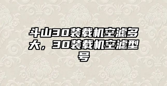 斗山30裝載機(jī)空濾多大，30裝載機(jī)空濾型號(hào)