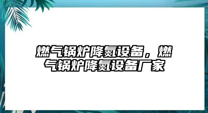 燃氣鍋爐降氮設備，燃氣鍋爐降氮設備廠家