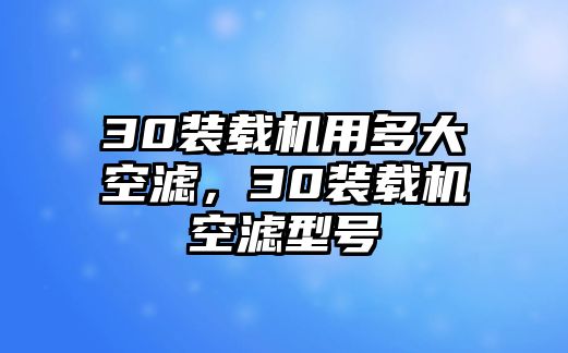 30裝載機用多大空濾，30裝載機空濾型號