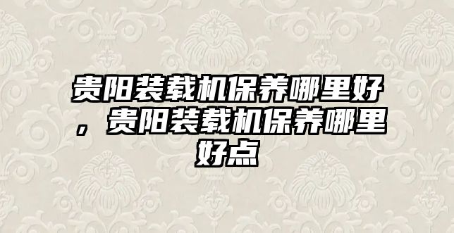 貴陽裝載機保養(yǎng)哪里好，貴陽裝載機保養(yǎng)哪里好點