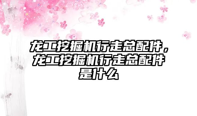 龍工挖掘機(jī)行走總配件，龍工挖掘機(jī)行走總配件是什么