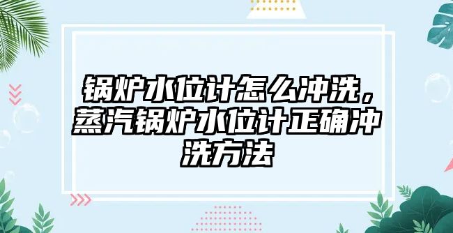 鍋爐水位計怎么沖洗，蒸汽鍋爐水位計正確沖洗方法