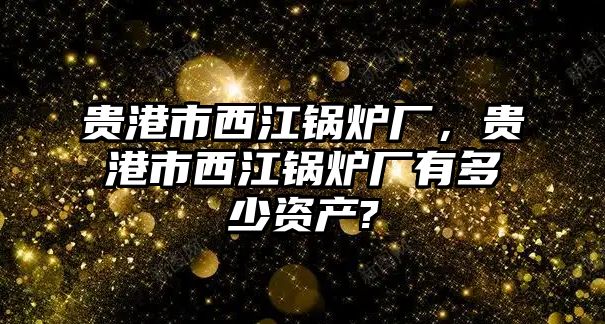 貴港市西江鍋爐廠，貴港市西江鍋爐廠有多少資產(chǎn)?