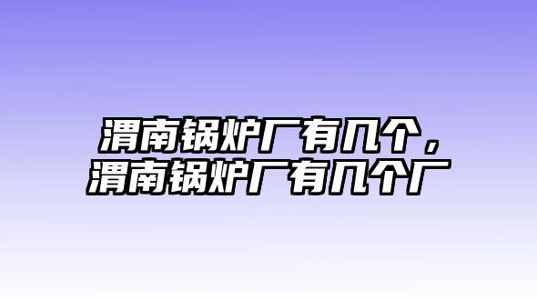 渭南鍋爐廠有幾個，渭南鍋爐廠有幾個廠