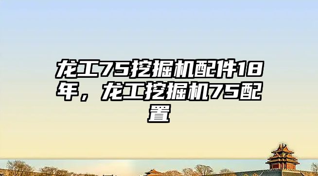 龍工75挖掘機(jī)配件18年，龍工挖掘機(jī)75配置