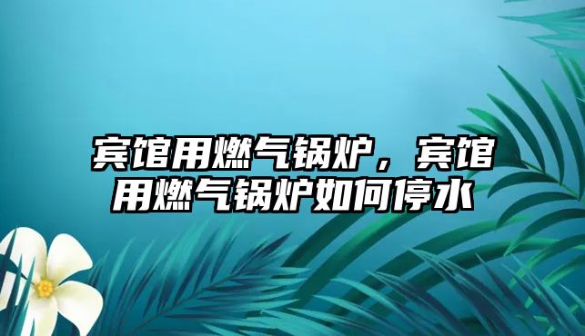 賓館用燃氣鍋爐，賓館用燃氣鍋爐如何停水