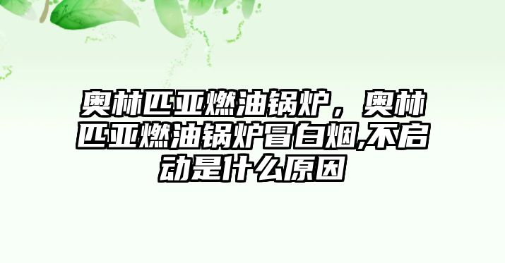 奧林匹亞燃油鍋爐，奧林匹亞燃油鍋爐冒白煙,不啟動是什么原因