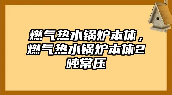 燃?xì)鉄崴仩t本體，燃?xì)鉄崴仩t本體2噸常壓