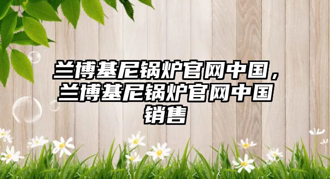 蘭博基尼鍋爐官網(wǎng)中國，蘭博基尼鍋爐官網(wǎng)中國銷售