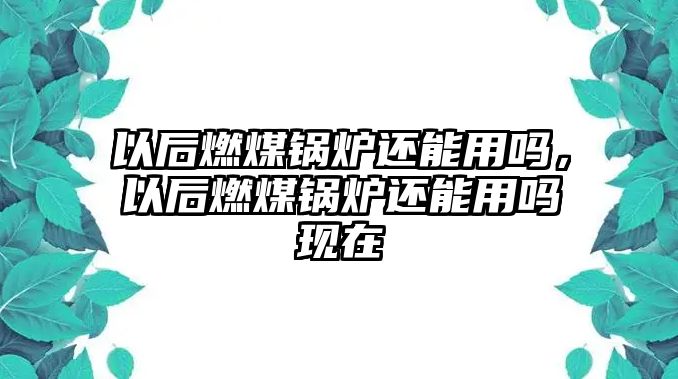 以后燃煤鍋爐還能用嗎，以后燃煤鍋爐還能用嗎現(xiàn)在