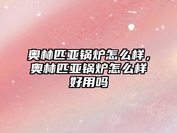 奧林匹亞鍋爐怎么樣，奧林匹亞鍋爐怎么樣好用嗎