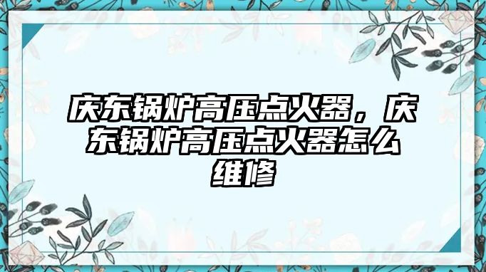 慶東鍋爐高壓點火器，慶東鍋爐高壓點火器怎么維修