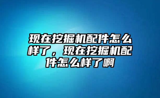 現(xiàn)在挖掘機(jī)配件怎么樣了，現(xiàn)在挖掘機(jī)配件怎么樣了啊