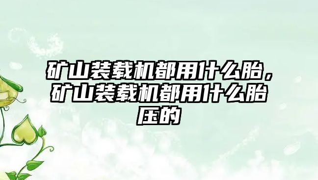 礦山裝載機都用什么胎，礦山裝載機都用什么胎壓的