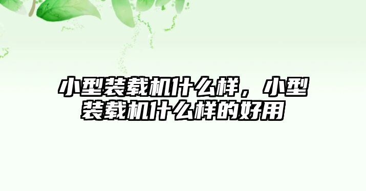 小型裝載機(jī)什么樣，小型裝載機(jī)什么樣的好用